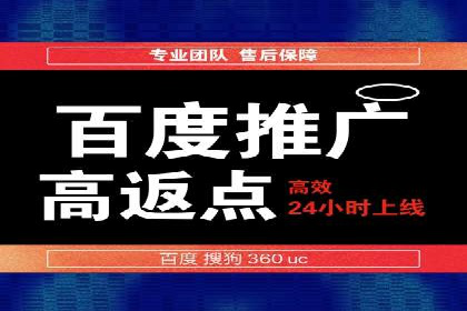 SEM运营策略案例分析